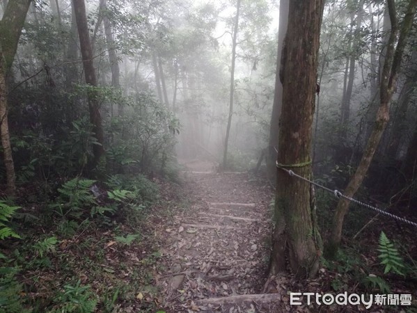 浸水營國家步道台東端溪床聯外便道，因受連日豪雨沖刷流致無法進出，步道全線封閉，遊客切勿前往以免發生危險。（圖／台東林管處提供）