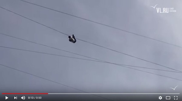 俄羅斯男爬電線，失手摔下9樓身亡。（圖／翻攝自YouTube／newsvlru）