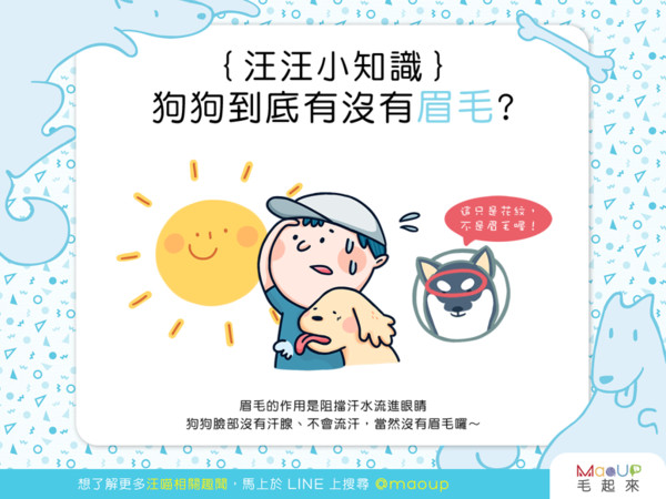 ▲毛起來配圖。（圖／記者曹悅華攝）