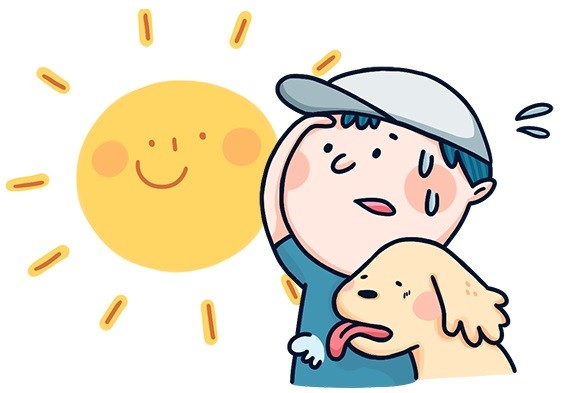 ▲毛起來配圖。