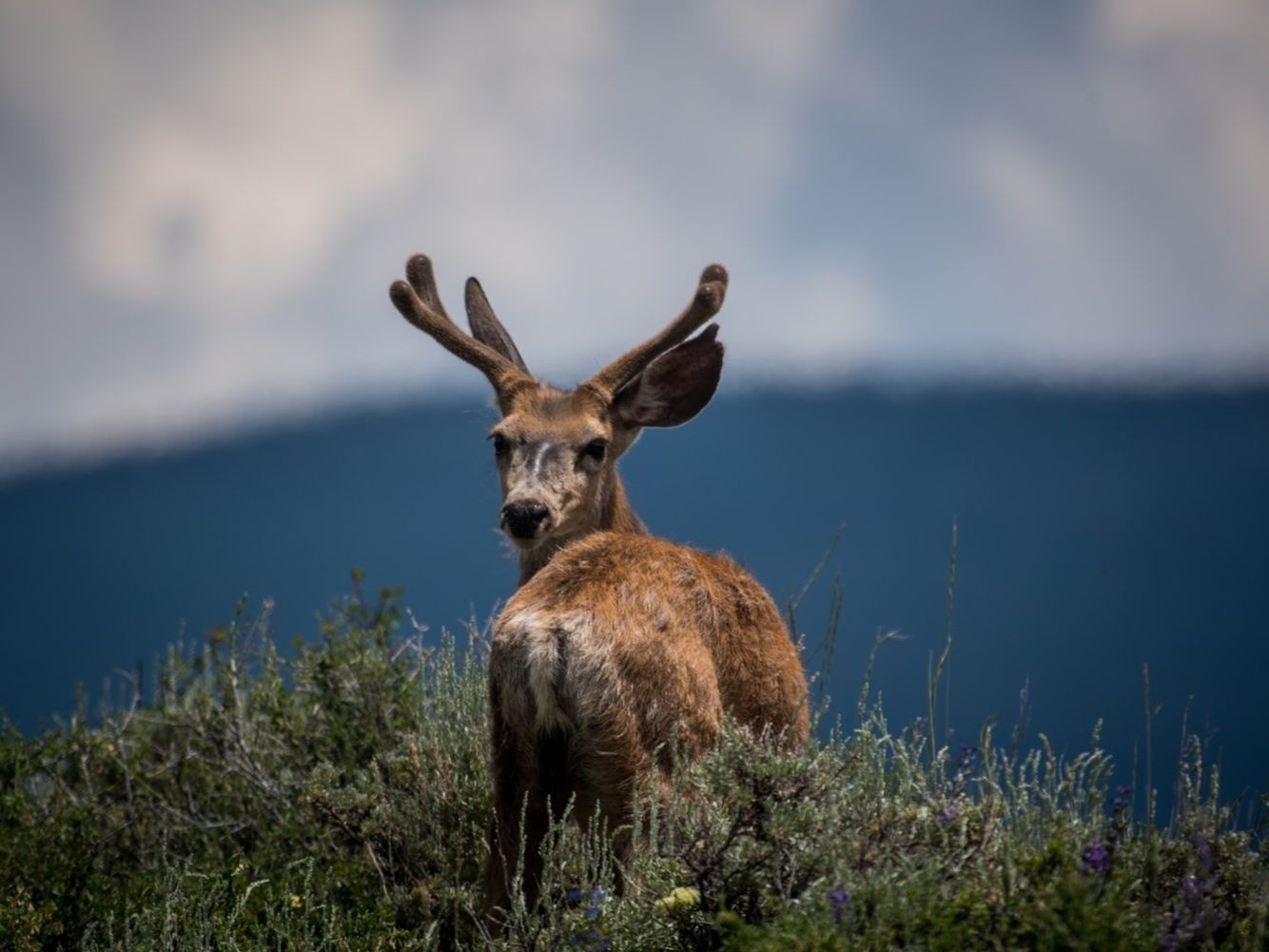 ▲身體健康。（圖／翻攝自unsplash）