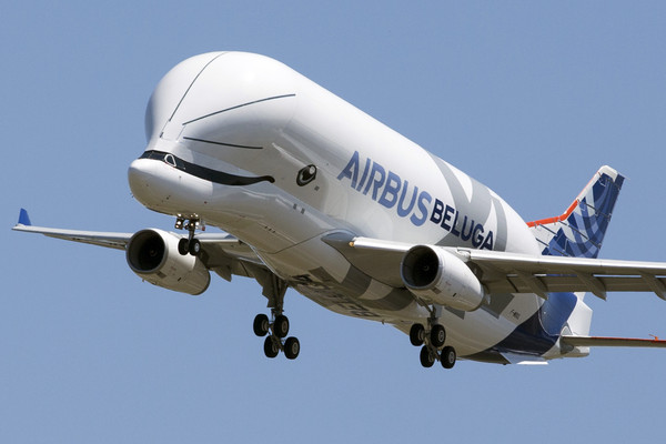 ▲Beluga XL於19日上午進行首次試飛。（圖／達志影像／美聯社）
