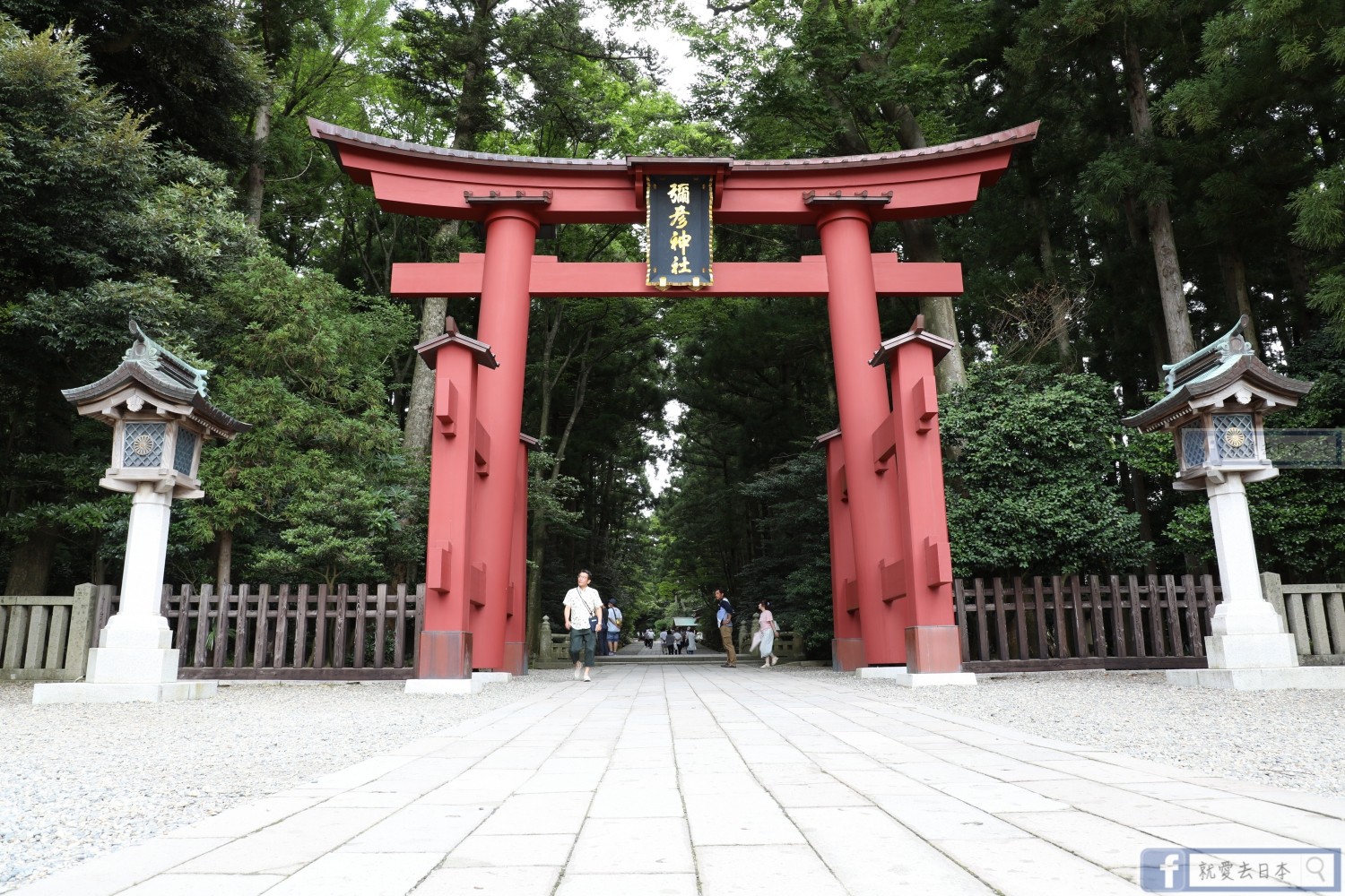 創立2400年 日本新瀉最大 彌彥神社 專守護生命活力 Ettoday旅遊雲 Ettoday新聞雲