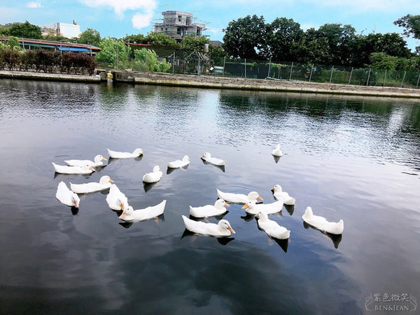 ▲▼宜蘭礁溪甲鳥園。（圖／紫色微笑提供）