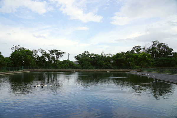 ▲▼宜蘭礁溪甲鳥園。（圖／紫色微笑提供）