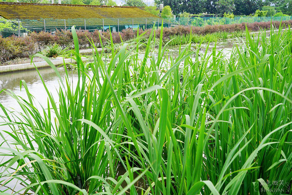 ▲▼宜蘭礁溪甲鳥園。（圖／紫色微笑提供）