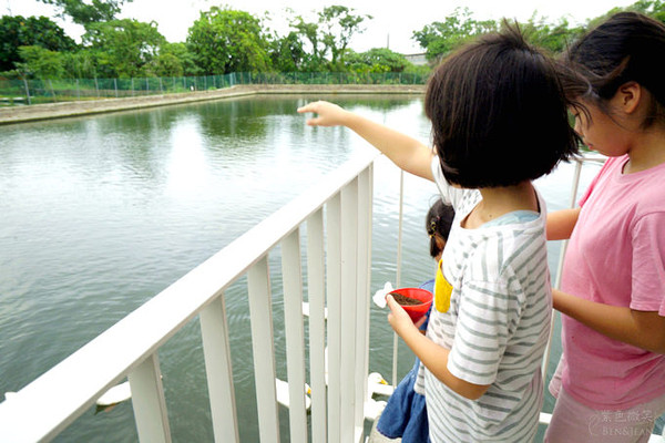 ▲▼宜蘭礁溪甲鳥園。（圖／紫色微笑提供）