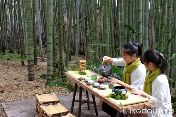 ▲瑞峰茶文化體驗,阿里山四季茶旅。（圖／記者于佳云攝）