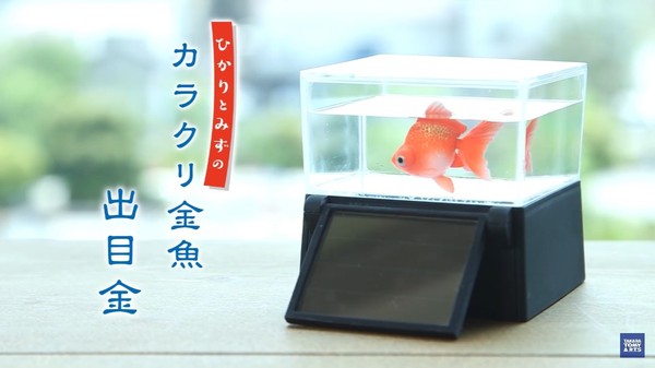 ▲日本光能機巧金魚。（圖／翻攝自TAKARA TOMY　youtube、網站）