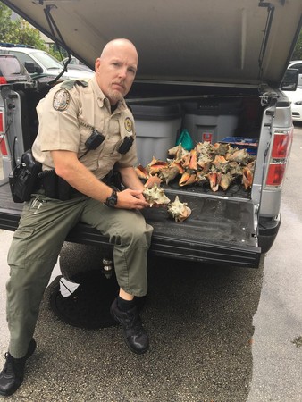 ▲佛羅里達州魚類及野生動物保護委員會（FWC）的官員發現一名婦人非法撿拾了40顆皇后海螺。（圖／記者徐溱謐攝）