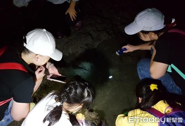 ▲夜觀藻礁為許多親子暑假熱門行程。（圖／擷自臉書珍愛桃園藻礁）