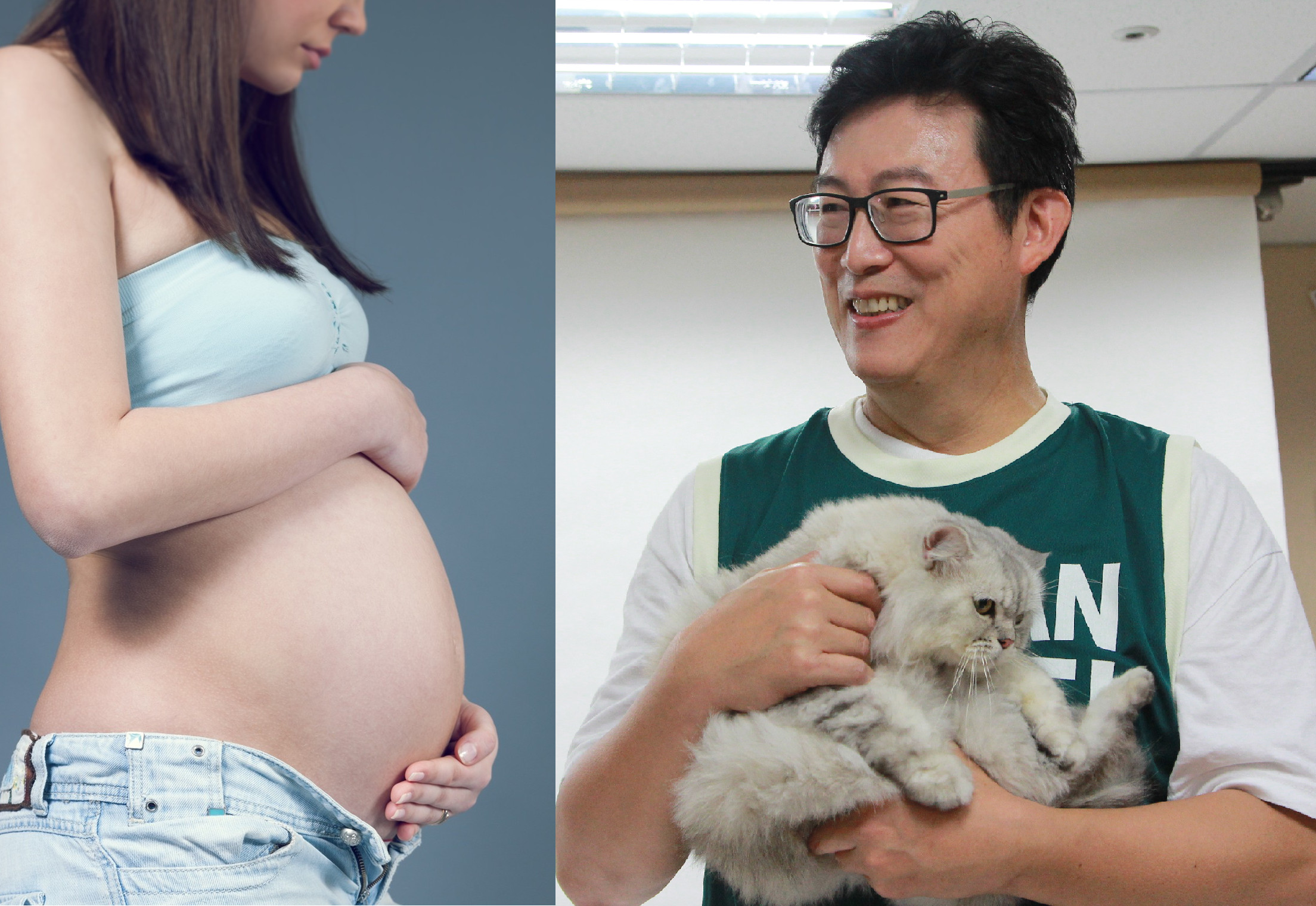 懷孕把貓送養？醫「5句話」打臉姚。（圖／達志、姚辦提供）