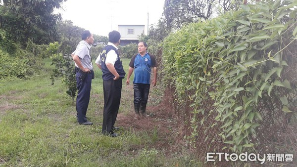 ▲台南市警麻豆分局啟動「保柚專案」，警方實地走訪勘查易遭竊地點，並採取設置移動警示燈、爆閃燈及結合民力24小時無間斷巡邏方式，達成守護農民財產，完善百分之百防竊任務。（圖／記者林悅翻攝）