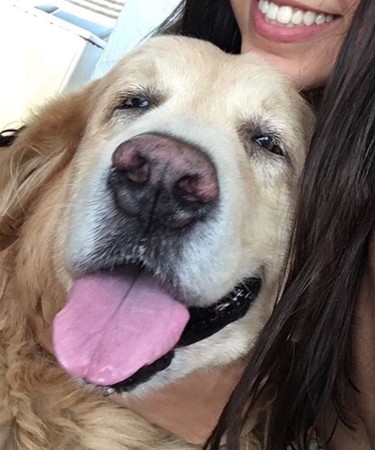 老金走吊橋腳軟，馬麻舉動暖哭網。（圖／翻攝自Instagram用戶「luckythedog001」）