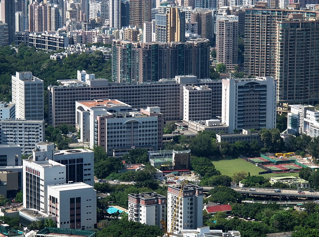 ▲▼大腸鋇劑造影「走錯路」　港婦「輸卵管受創」縫18針。（圖／翻攝自維基百科）