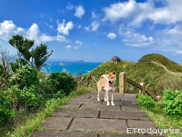 ▲泳將柴海上撿垃圾做環保被讚爆。（圖／網友張順德授權提供）