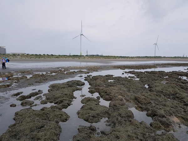 台灣中油第三座液化天然氣接收站計畫（圖／台灣中油提供）