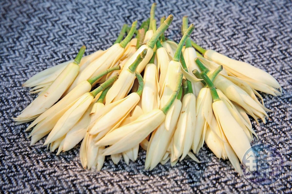 賣玉蘭花搶地盤亂鬥小販踢爆 被尿攻 惡意檢舉 Ettoday社會新聞 Ettoday新聞雲