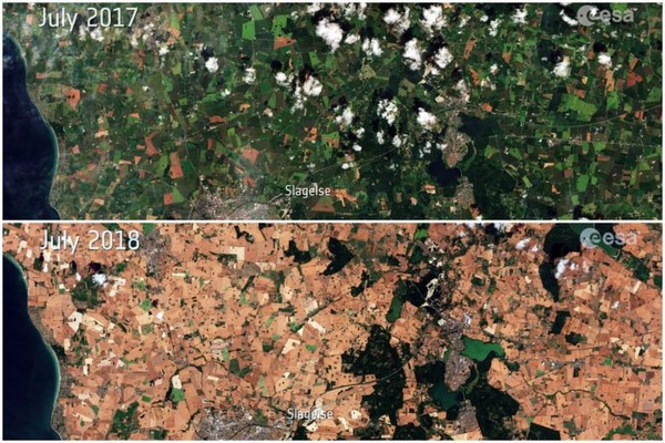 ▲丹麥2017年7月和2018年7月的衛星影像圖。（圖／EUROPEAN SPACE AGENCY）