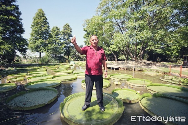 ▲桃園市與馬紹爾總統故鄉奧爾環礁，進行合作備忘錄簽署儀式。（圖／桃園市政府提供）