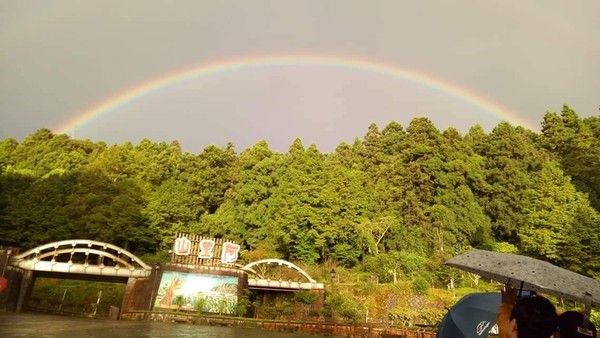 ▲▼ 嘉義山區午後多雷雨，民眾拍下阿里山國家公園雨後彩虹美景。（圖／記者翁聖勳翻攝）