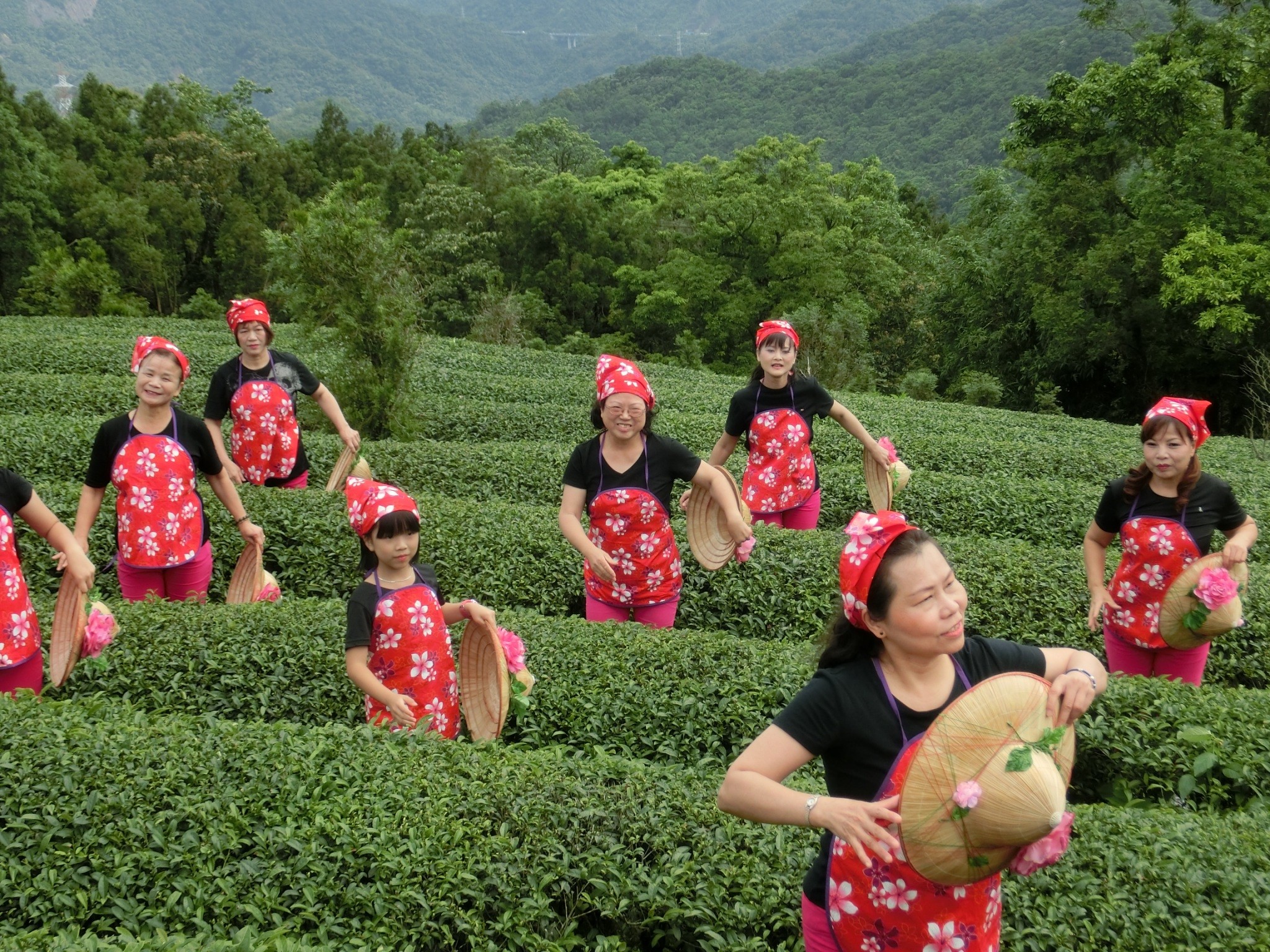 ▲▼台灣正式進入高齡社會，教育部辦理樂齡學習活動。（圖／教育部提供）