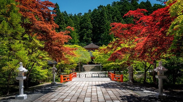 ▲到京都、和歌山拍絕美「楓」景照▼             。（圖/翔笙旅行社、shutterstock.com提供）