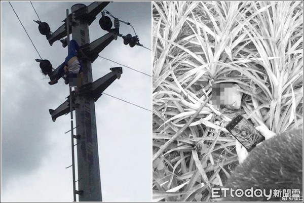 ▲中國廣東湛江市一名小孩爬上電線桿被電死。（圖／翻攝自微博、微信群）
