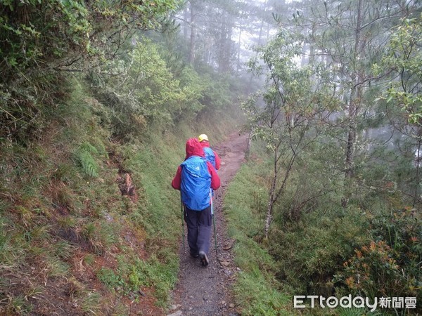 ▲▼ 阿里山玉山三角點　民眾墜3公尺邊坡            。（圖／記者宋德威翻攝）