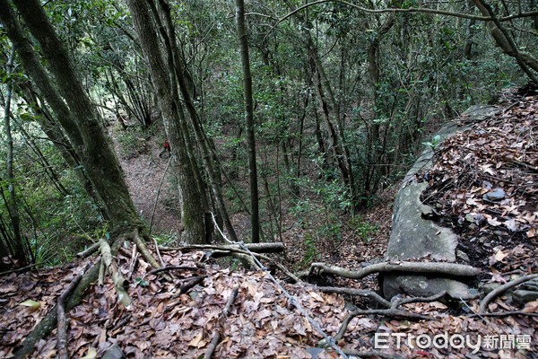 ▲▼南二段山區有山有失蹤，警消跨大範圍積極搜索中。（圖／記者宋德威攝，下同）