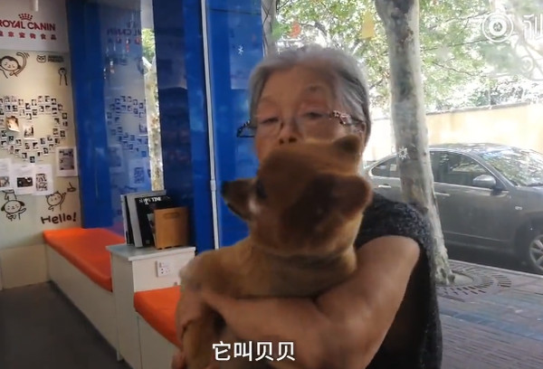 84歲奶奶養兒子愛犬貝貝。（圖／翻攝自梨視頻）