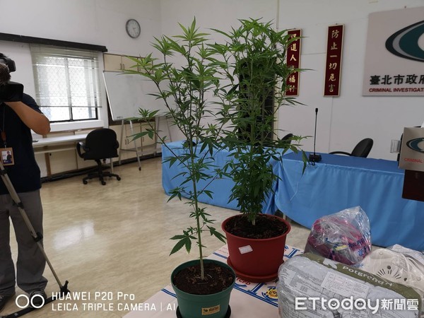 ▲▼▲警方鎖定男子涉嫌種植大麻，在家發現種植工具以及6株大麻活體。（圖／記者邱中岳攝）