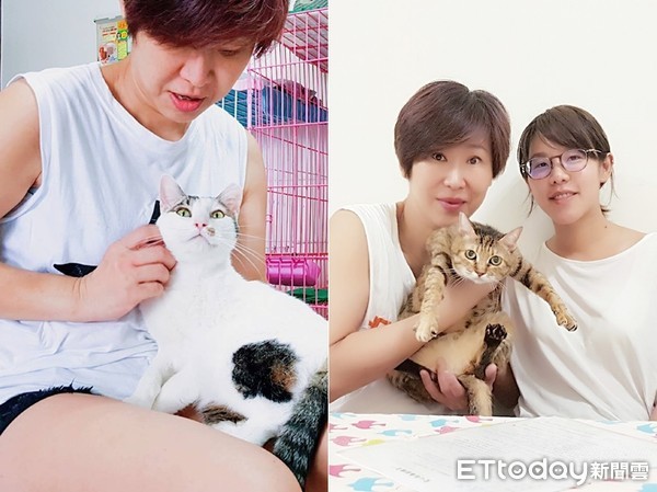 ▲中途媽媽辛煥萍6年內送養了超過500隻貓咪。（圖／網友辛煥萍授權提供）