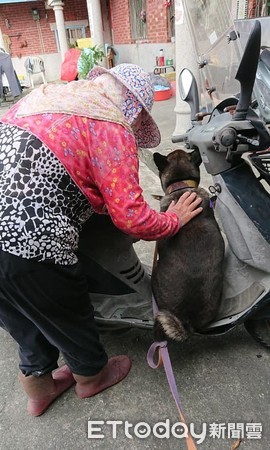 ▲載我去買肉肉！汪汪硬擠上阿嬤機車　「就地入定」哄不下來。（圖／有點毛毛的／張招敏提供）