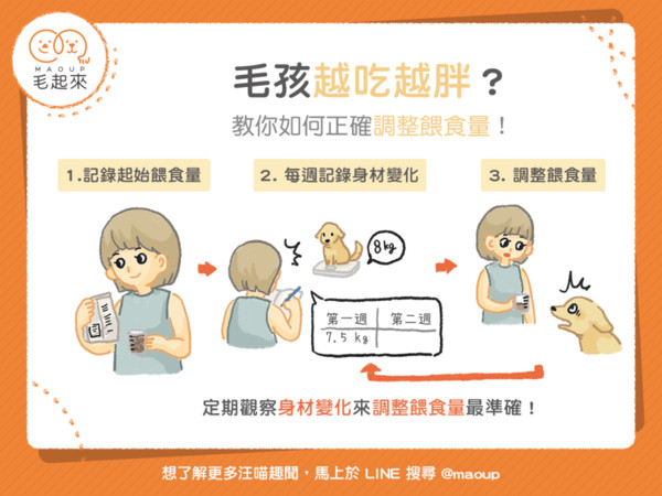 ▲毛起來配圖。