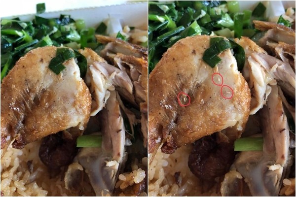 ▲▼雞腿便當上爬白蛆。（圖／翻攝爆料公社）
