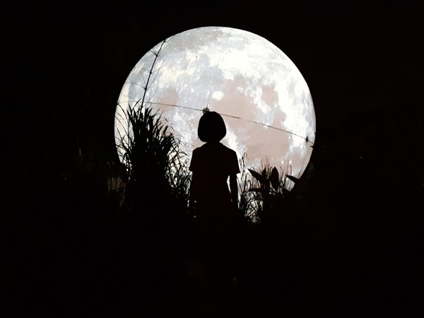 ▲6米星球晚上點燈後彷彿月球。（圖／多肉秘境提供）