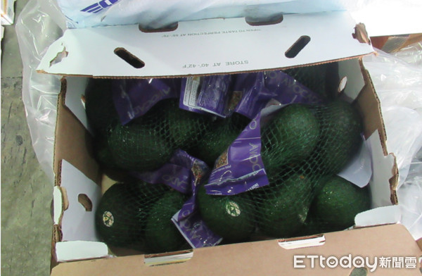 ▲好市多進口酪梨首出包！　重金屬「鎘」超標3公噸遭攔截。（圖／食藥署提供）