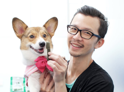 你知道狗狗也要刷牙嗎？獸醫師示範給你看（圖／健綠提供）