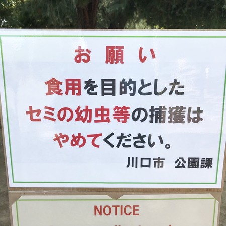 ▲▼ 日本埼玉縣川口市的公園告示板寫著「勿抓幼蟬來吃」。（圖／翻攝自推特@miyahancom）