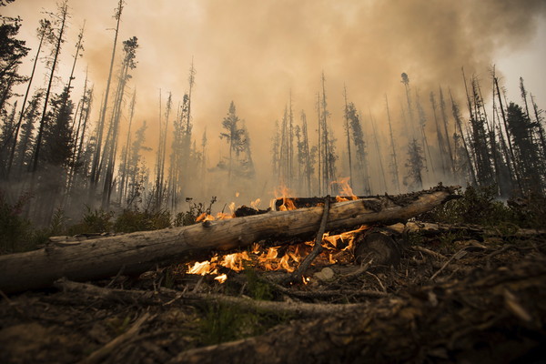 ▲▼加拿大卑詩省（British Columbia）因氣候乾熱，全省發生超過180起森林大火。。（圖／達志影像／美聯社）