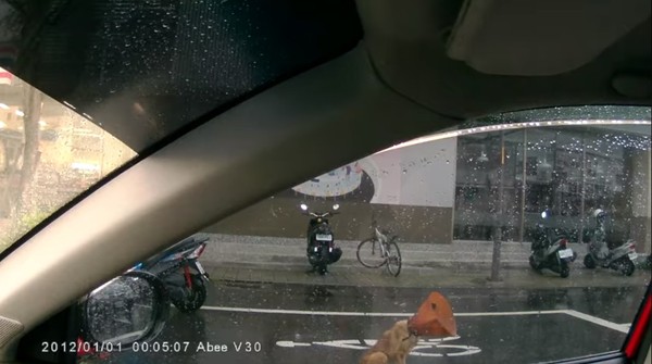 白內障狗狗呆坐慢車道，女騎士經過抱起移到路邊。（圖／翻攝自Facebook／爆料公社）