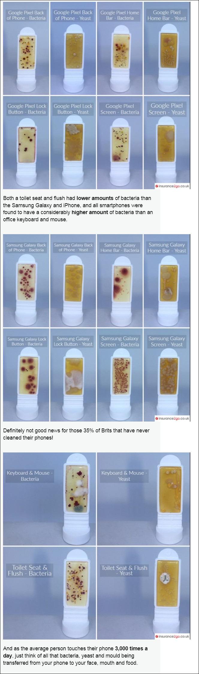 ▲手機上超多細菌。（圖／翻攝自Insurance2go網站）