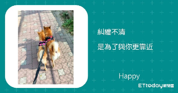 ▲▼ 希爾斯業配撩寵金句。