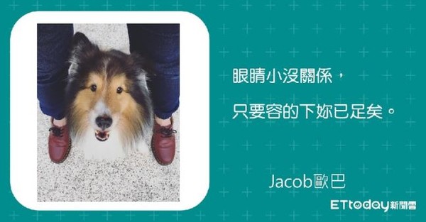 ▲▼希爾斯業配撩寵金句。