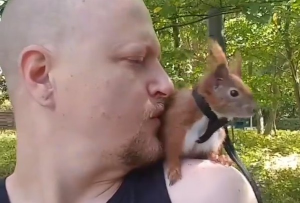 單親爸救了松鼠一命。（圖／翻攝自Instagram／tintin_the_squirrel）