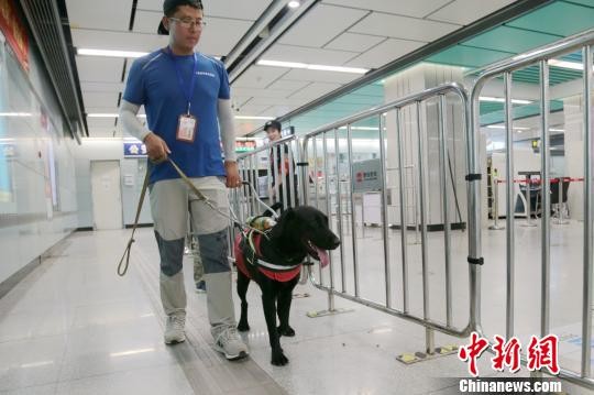 ▲▼西安地鐵站提供導盲犬服務。（圖／翻攝自中新網）