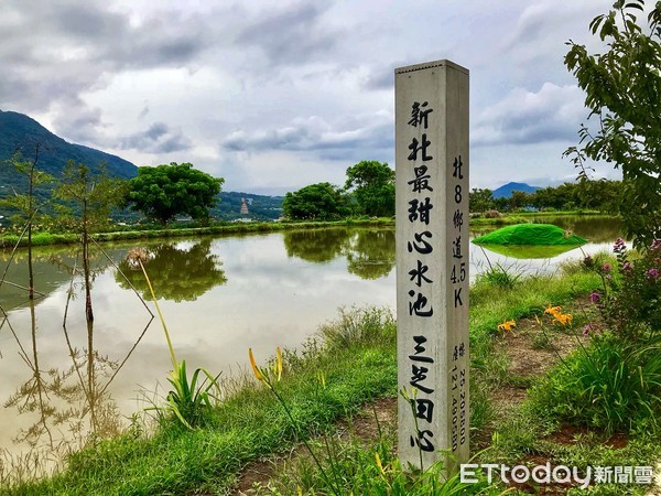 ▲ 興華里樂天社區 鏡頭下秘境「三芝田心」。（圖／記者郭世賢攝）