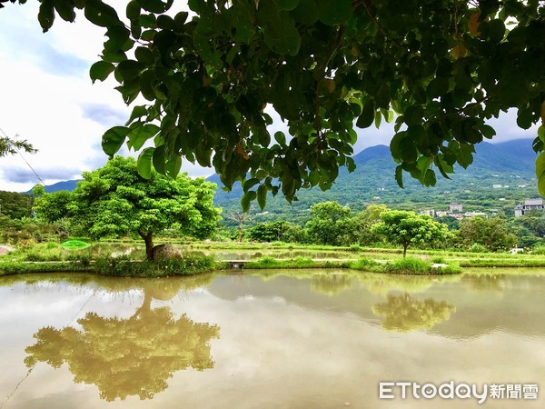 ▲ 興華里樂天社區 鏡頭下秘境「三芝田心」。（圖／記者郭世賢攝）