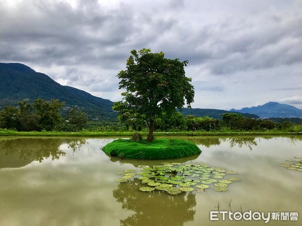 ▲ 興華里樂天社區 鏡頭下秘境「三芝田心」。（圖／記者郭世賢攝）